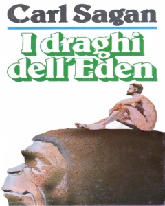 Immagine non disponibile3