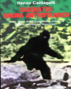 Immagine non disponibile3